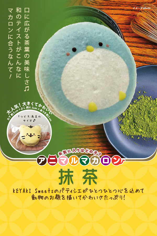 KEYAKI Sweets アニマルマカロン 抹茶 – FROZEN24