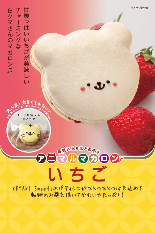 KEYAKI Sweets アニマルマカロン いちご – FROZEN24