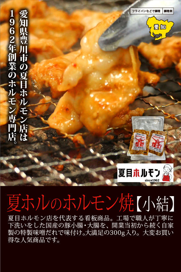 夏目ホルモン店 夏ホルのホルモン焼【小結】 – FROZEN24