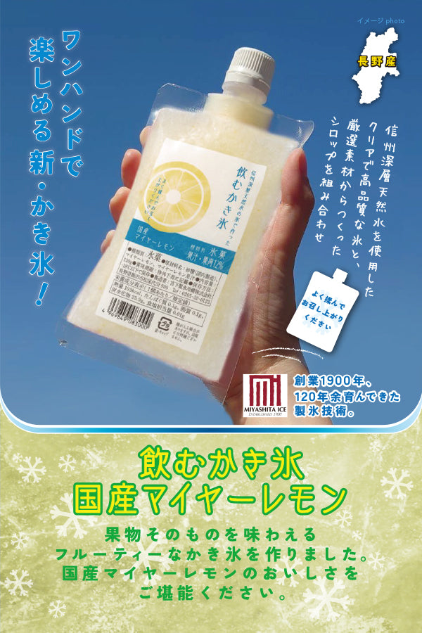 かき氷ダイノウアモウ レモン味 2024年7月のかき氷（桃と檸檬） | だし
