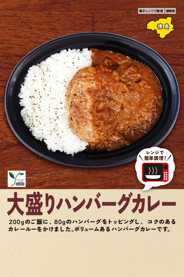 大盛りハンバーグカレー – FROZEN24