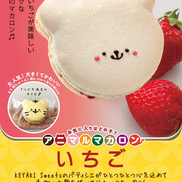 アニマルマカロン♡シマエナガ&ぶた アニマルマカロン♡シマエナガ&ぶた