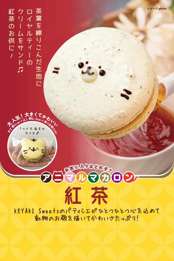 KEYAKI Sweets　アニマルマカロン　紅茶