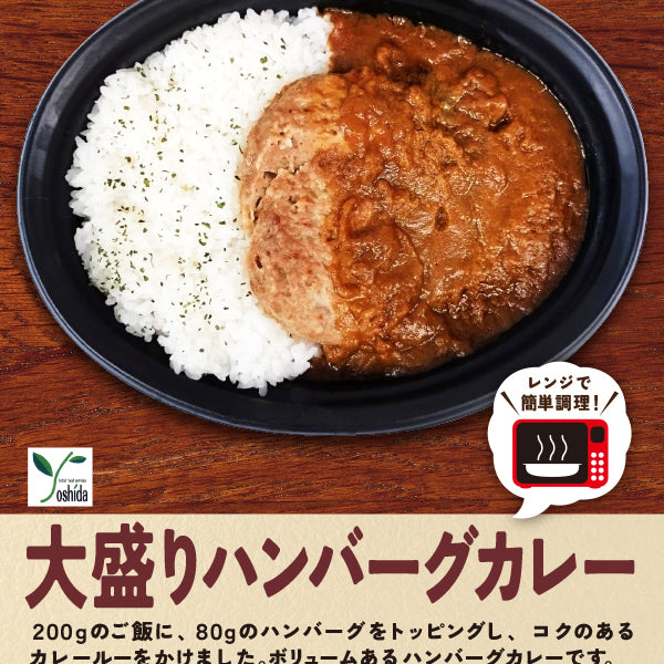 大盛りハンバーグカレー – FROZEN24